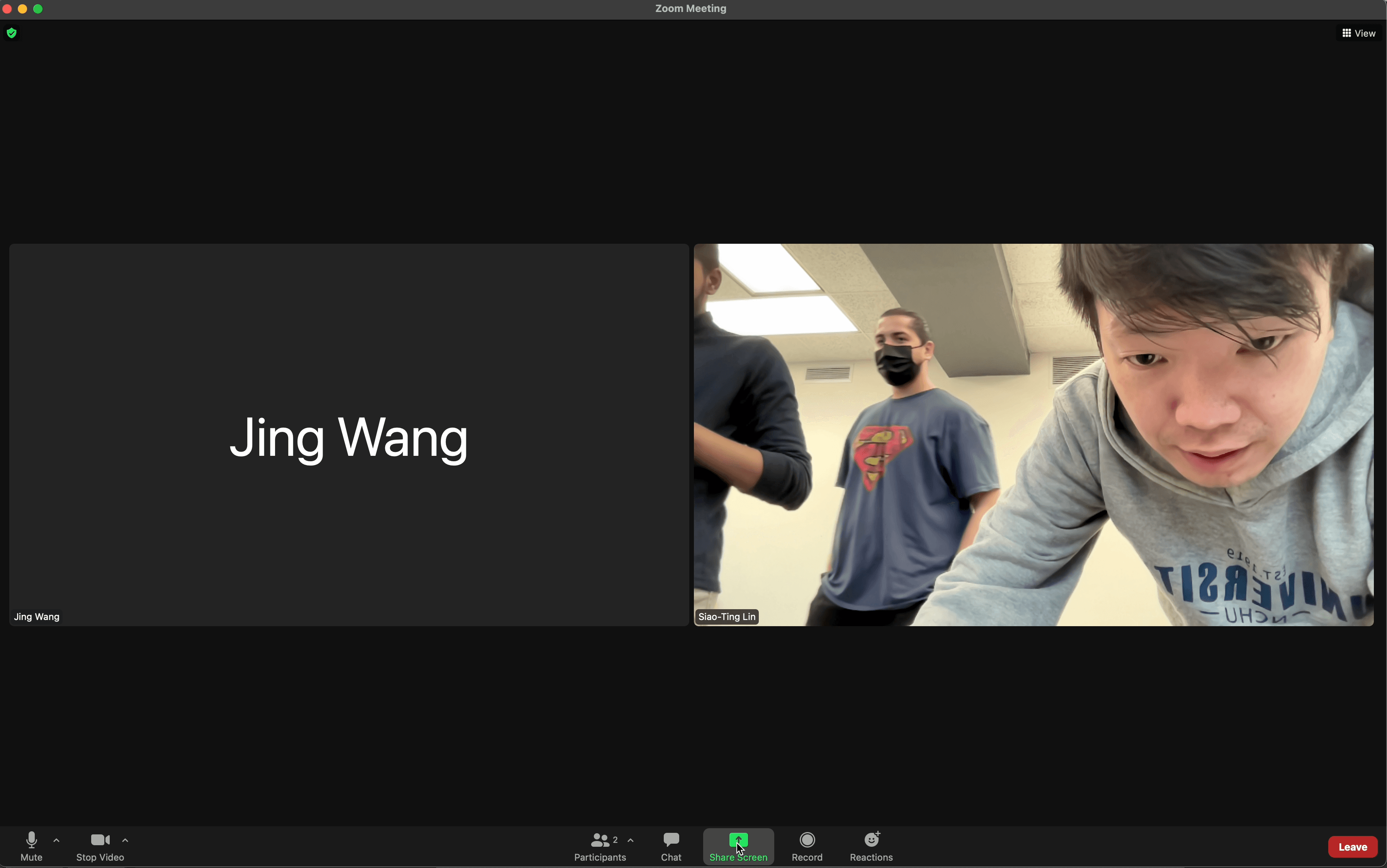 Remote Usability Testing Screenshot